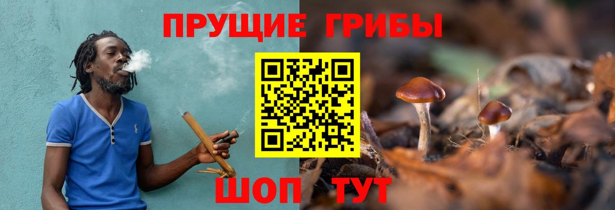 Галлюциногенные грибы мухоморы Корсаков